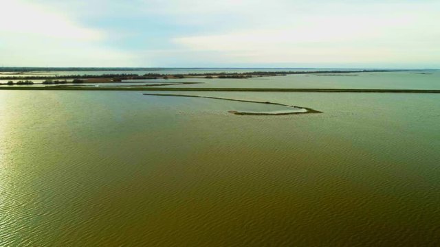 Aerial view of Flyng Pink Flamingos in Natural National Park of Italy, 4k, 50fps