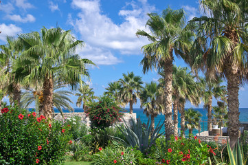 Fototapeta premium Palm trees and mirabilis jalapa flowers with blue sky and sea on background
