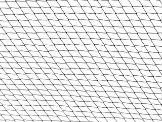 net pattern