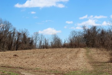 The white clouds in the blue sky in the country field.