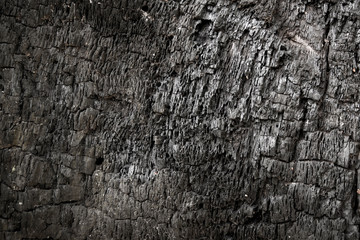 Burnt wood texture closeup