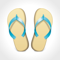 Pair of flip-flops isolated on a white vector illustration