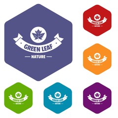 Fototapeta premium Eco nature icons vector colorful hexahedron set collection isolated on white 