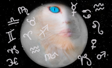 Astrology and zodiac signs, cat and full moon