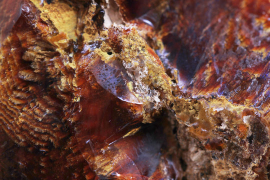 wooden opalite mineral texture
