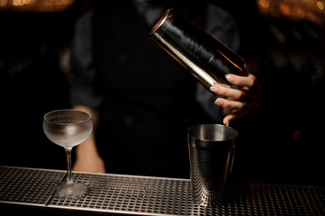 Female bartender holding shaker at bar counter