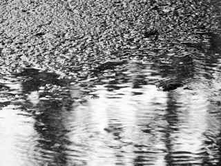 wet asphalt road texture