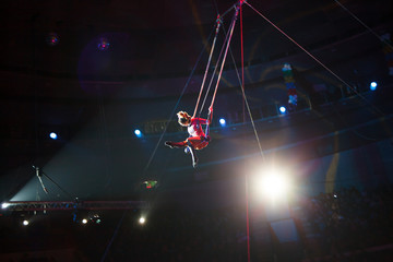 performance of air acrobats in the circus © Andrey