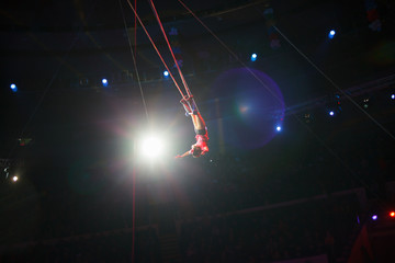 performance of air acrobats in the circus