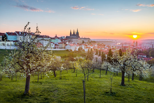 View Over Prague Skyline With From Petrin Hill At Spring
