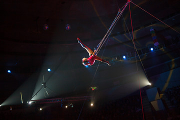 performance of air acrobats in the circus © Andrey