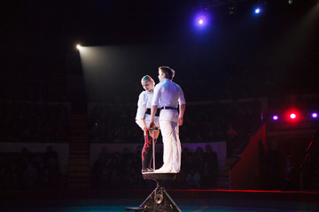 performance of air acrobats in the circus