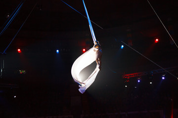 performance of air acrobats in the circus