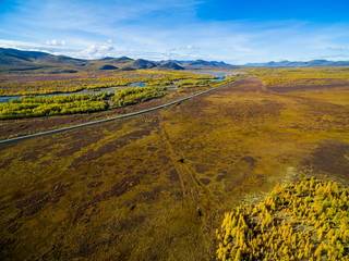 Aerial view of forest in the far East, Russia