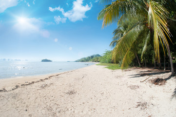 Obraz na płótnie Canvas Idyllic tropical beach, palm, white sand and crystal clear water