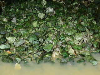 pile of stone with moss in river