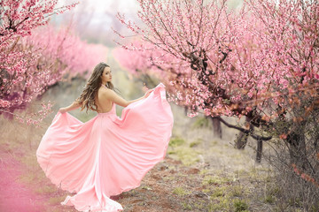 A young princess walks in a blooming garden. Girl in a luxurious pink dress with a train. Fashionable toning.