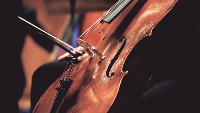 Violin and cello players hands detail during philharmonic orchestra performance