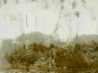 aged street wall with mold texture background
