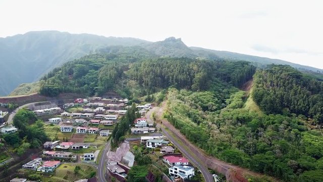 Aerial Pan Left to Right: Unique Tree Formation Among the Homes in Tahiti, French Polynesia