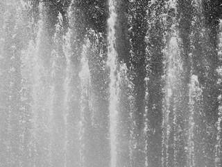 fountain in garden black and white style