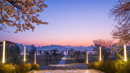 Han River Twilight Sky With Cherry Blossom At Yeouido,Seoul South Korea.