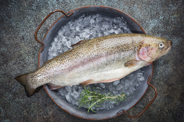 Raw trout fish on the tray with ice over stone dark background , top view