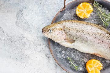 Raw trout fish on the tray with ice with rosemary and lemon over stone light background , top view