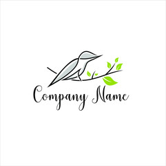 bird logo vector