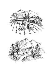 Fototapeta premium Rural sketch andscape. Vector illustration. Ink hand drawing landscape.