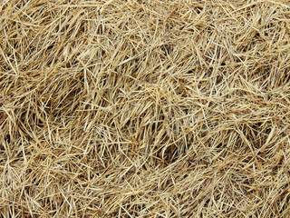 pile of dry grass