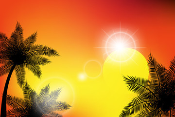 Obraz na płótnie Canvas Summer tropical backgrounds with palms, sky and sunset.