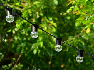 bulb on the wire on green blur background