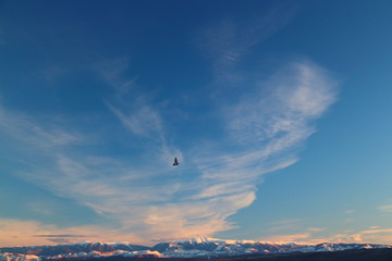 flying in the sky