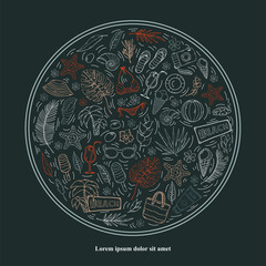 Vector summer set,collection isolated on a dark