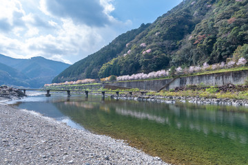 Fototapeta premium 四万十川に架かる沈下橋