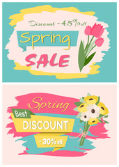 Sale, discount and best offer, label for springtime promotion and advertising, daisy bouquet. Advertisement decorated by flowers, greeting for ladies vector. Early spring and summer flower for wedding