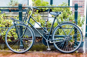 Fototapeta na wymiar Bike in Amsterdam
