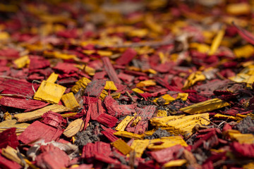 Multicolored bright red yellow orange mulching flower beds using natural pine mulch. The combination of orange yellow and red colors in the design of flower beds and landscapes. Close up.