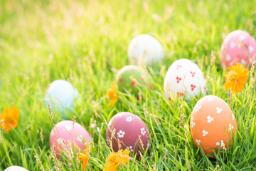 Happy easter!  Closeup Colorful Easter eggs in nest on green grass field during sunset background.