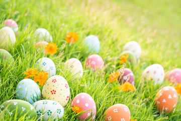 Happy easter!  Closeup Colorful Easter eggs in nest on green grass field during sunset background.