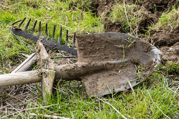 Waist and garden rake, garden tools,