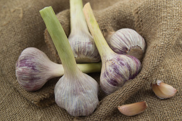 Garlic is on the table, a useful spice for immunity.