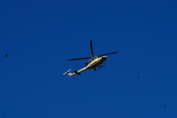 gray helicopter in the blue sky

