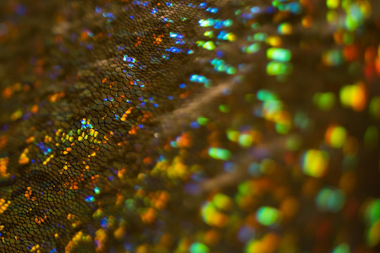 Sparkling dark golden snake skin. Multicolor bokeh abstract background. Defocused glitter glow.