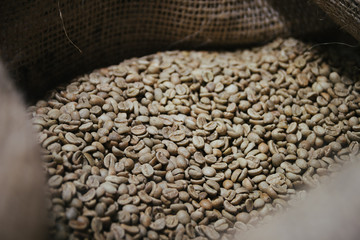 Roaster machine prepared coffee beans.  Process of coffee roasting in cafe. Ingridient for popular european drink. Brown bean inside box. Organic food. Close up shot.