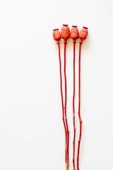 Dried flowers. Poppy