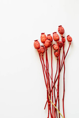Dried flowers. Poppy