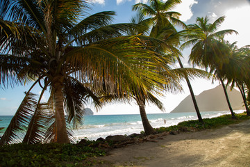 Fototapeta na wymiar Martinique