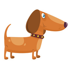 Cartoon Funny Dachshund Dog. Vector Illustration 